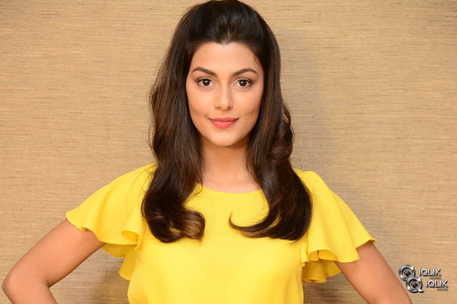 Anisha-Ambrose-At-Interview-About-Fashion-Designer-Movie